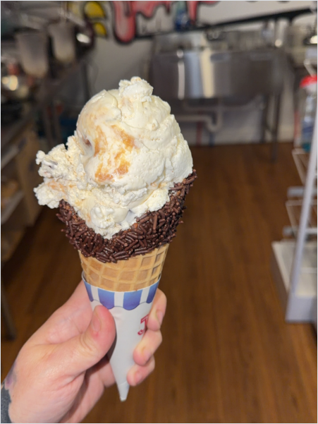 Chocolate sprinkle dipped waffle cone with ice cream